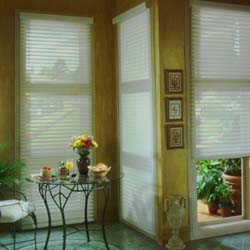 Treanna Window Covering Treanna Window Covering