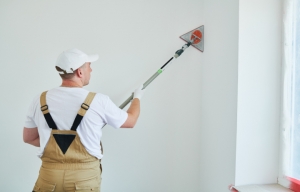 Paint Prep Work, Walls