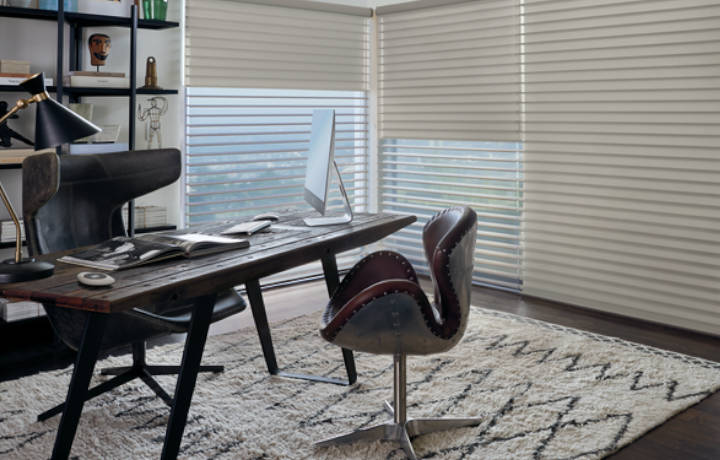 SILHOUETTE® Window Shadings Detail