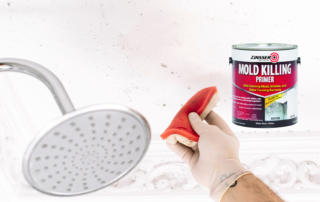Why, When, and Where to Use Mold Killing Primer Before Painting